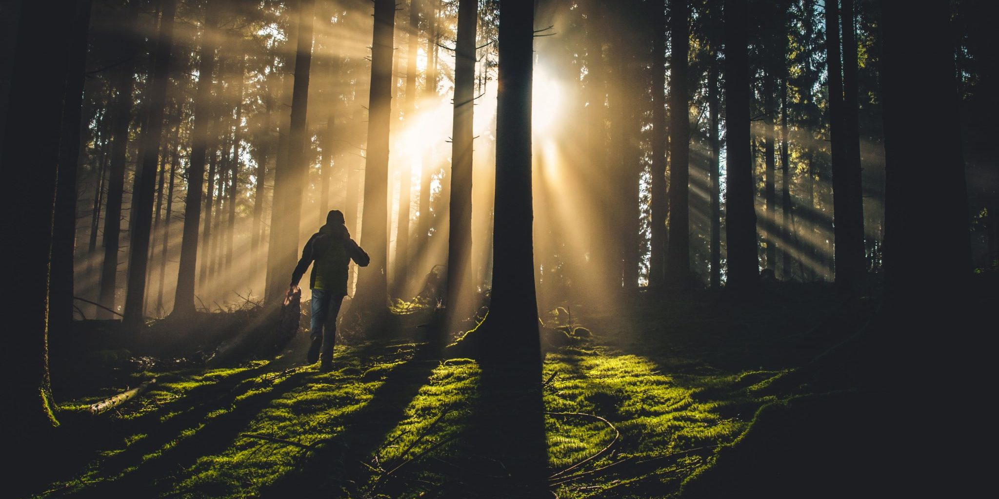 Christian Schrøder – kiwihug-266154-unsplash