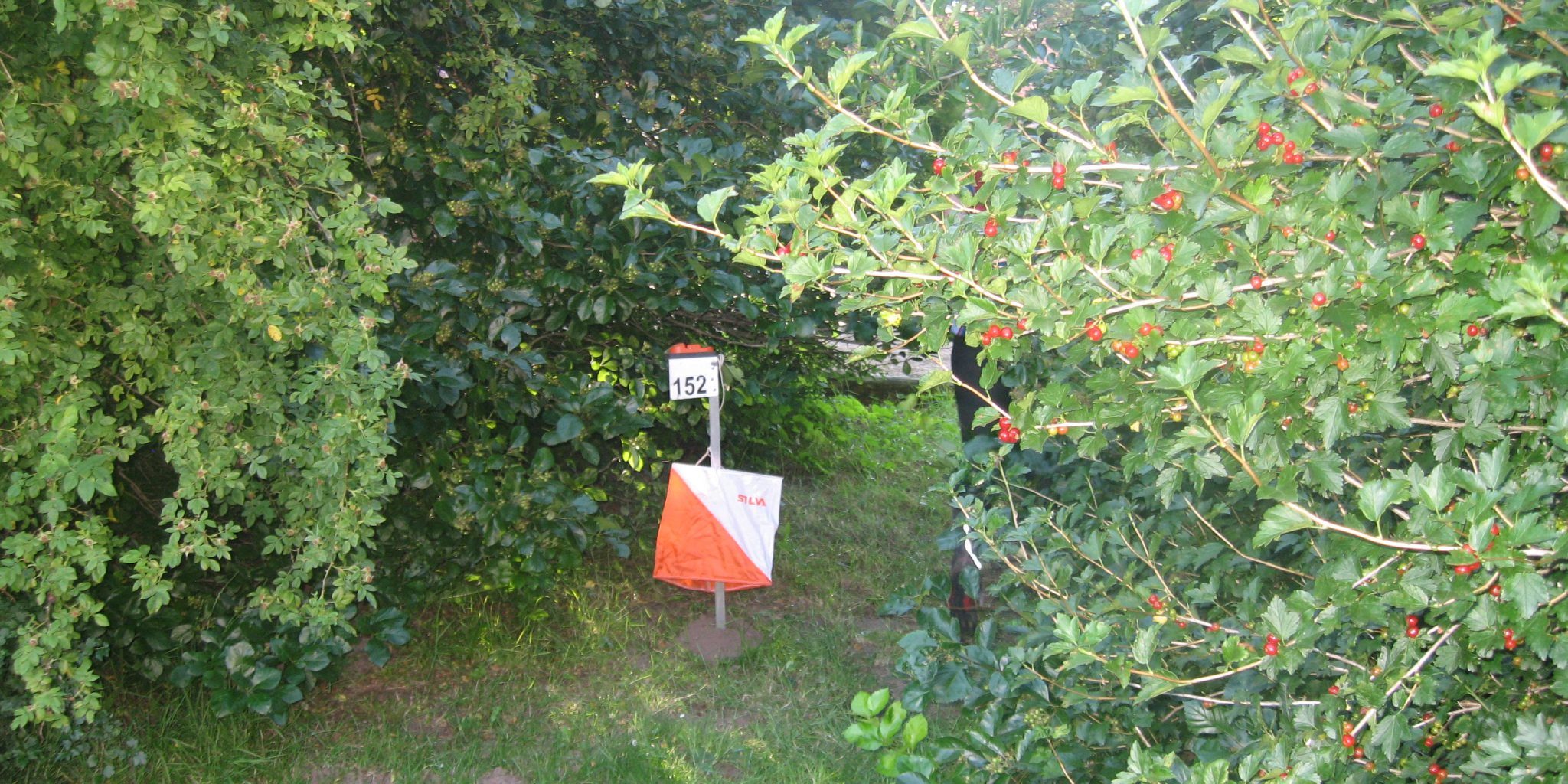 Ulla Arreborg – IMG_8567