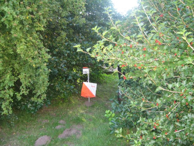 Ulla Arreborg – IMG_8567