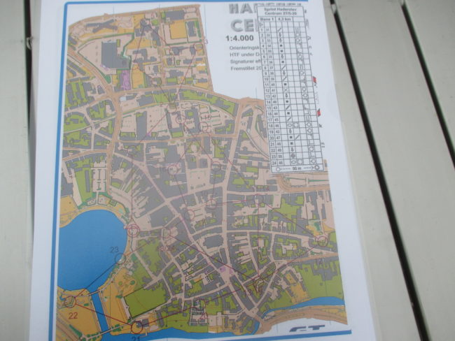 Billede hjemmeside 5