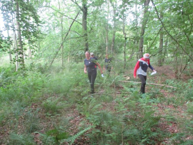 billede træningsløb 2