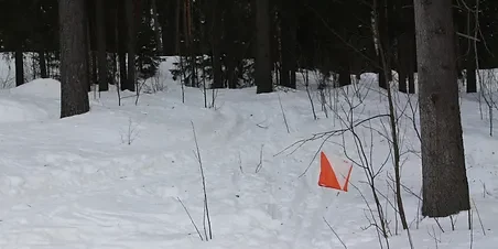 Orienteering_in_the_snow_IMG_3436_C_JPG