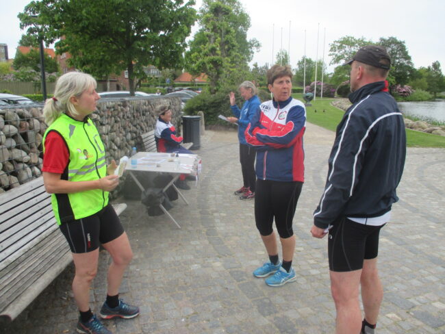 Billede hjemmeside 4