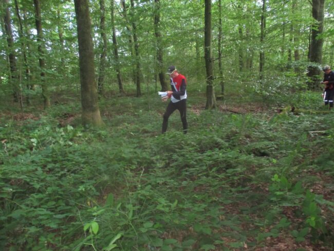 billede træningsløb 1